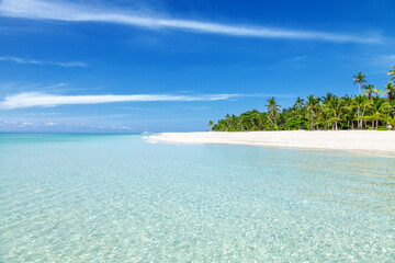 Fantastic turquoise beach with palm trees and white sand in the Philippines