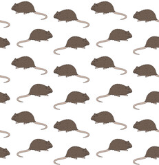 Vector seamless pattern of hand drawn doodle sketch colored nutria isolated on white background