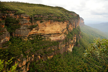Scenery in the Blue Mountains National Park, Australia.