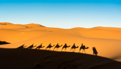 Fototapeta na wymiar camels silhouette in the desert