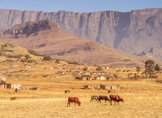 Rural Landscape Near Royal Natal National Park