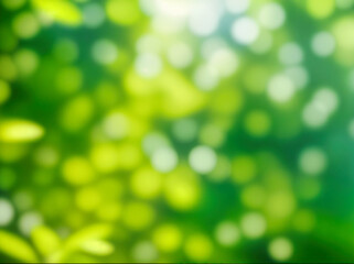 Obraz premium Green blurred background and sunlight
