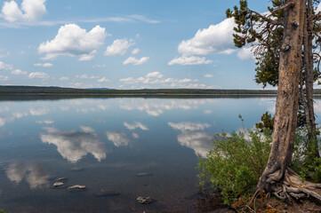 Calm water of the Lewis Lake in Wyoming