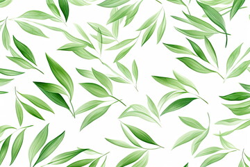 Naklejka na ściany i meble green leaves on white background