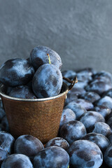Plums in bucket, front view