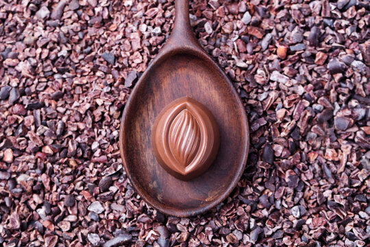 Chocolate candy in a wooden spoon on a crushed raw cocoa beans, nibs background. Copy space Top view