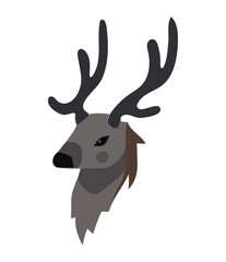 Cute deer with horns