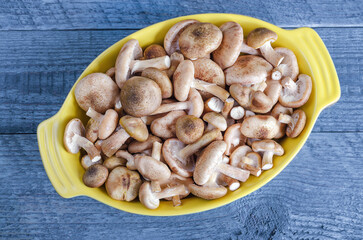 Raw fresh mushrooms in the roasting pan, on a wooden background toned in blue color.