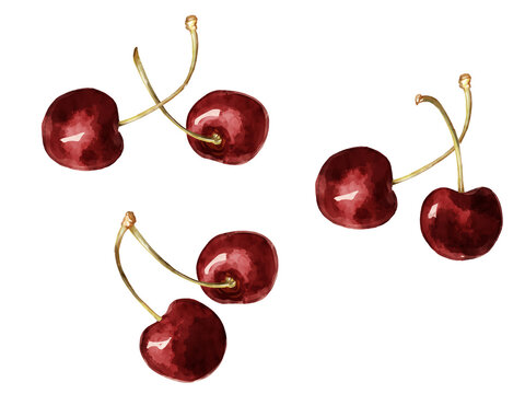 チェリー」の写真素材 | 15,058件の無料イラスト画像 | Adobe Stock