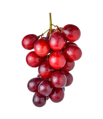 Fototapeta premium red grape isolated on white