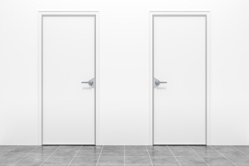 3d rendering of two typical white doors
