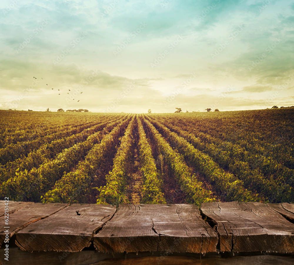 Poster wooden table. spring design with vineyard and empty display. space for your montage. autumn grapes h