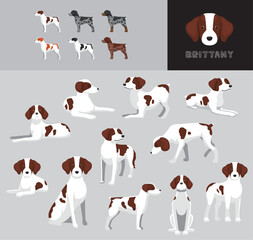 Dog Brittany Brown Coat Cartoon Vector Illustration Color Variation Set
