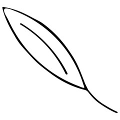 Vector Leaf Illustration on White Background. Leaf Image in Line Art Style. Coloring Page for Kids. Black and White Coloring Book.