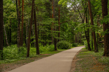 Riga Mezparks peaceful quiet empty park with pathway and no people