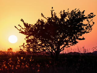 A beautiful sunrise in southern Denmark at springtime