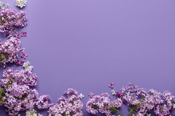 Beautiful fresh lilac flowers on blue background