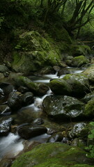 Naklejka na ściany i meble stream in the mountains