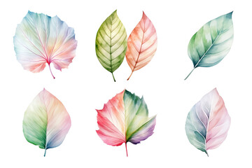 colorful watercolor pastel leaves elements collection isolated on transparent background