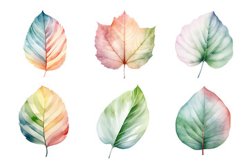 Obraz premium colorful watercolor pastel leaves elements collection isolated on transparent background