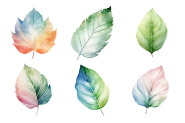 colorful watercolor pastel leaves elements collection isolated on transparent background