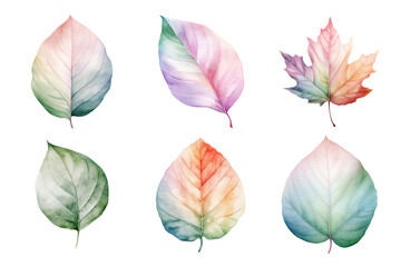 colorful watercolor pastel leaves elements collection isolated on transparent background