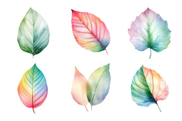 colorful watercolor pastel leaves elements collection isolated on transparent background