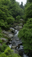 Fototapeta na wymiar stream in the mountains