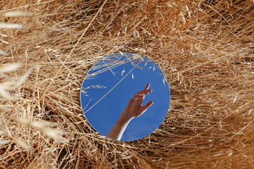 Woman's hand reflecting in a mirror among dry grass, creative summer concept - Powered by Adobe