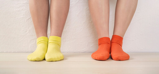 legs and socks of two girls standing in front of a white wall indoors. 屋内の白い壁の前に立っている女の子の脚と靴下