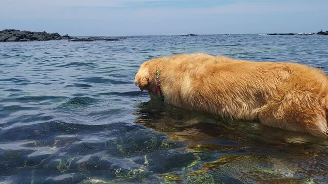a swimming pool in the sea