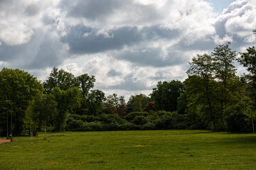 Fototapeta na wymiar View to grass field, trees, blue sky and clouds