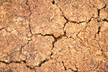 dry cracked earth with remnants of dry grass background backdrop