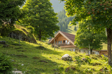 Summer view of Untermarkter Alm mountain hut in the Austrian alps in Imst, Tyrol. The hut is...