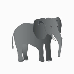 Obraz premium A vector elephant isolated on white background. Hand drawn line sketch, colored illustration with shadow.