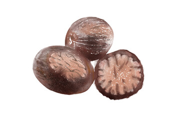 nutmegs isolated on white background, watercolor illustration
