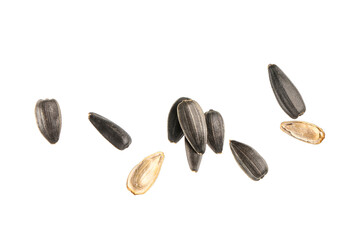 Obraz premium Flying sunflower seeds on white background