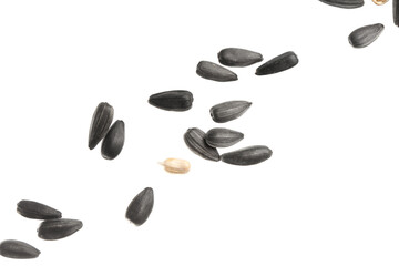 Flying sunflower seeds on white background