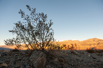 Exterior of the rugged mountains of the sierra nevadas, along us highway 190, between bakersville and Death Valley.