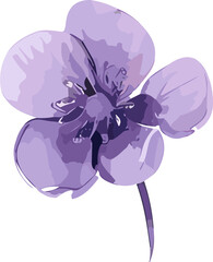 Watercolor Purple Flowers Clipart, Png transparent  Background