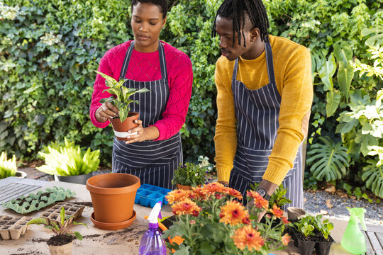 Happy african american couple in aprons planting in sunny garden