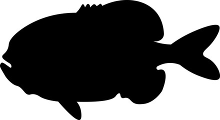 Sea Fish Silhouette Illustration Vector