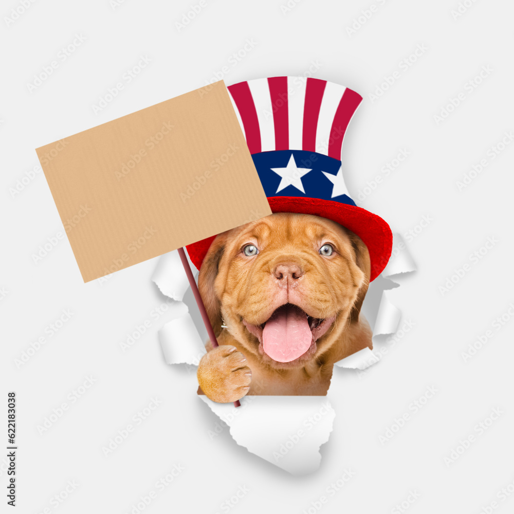 Poster happy mastiff puppy wearing like uncle sam looking through a hole in paper and shows empty placard. 