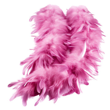 4,800+ Feather Boa Stock Photos, Pictures & Royalty-Free Images