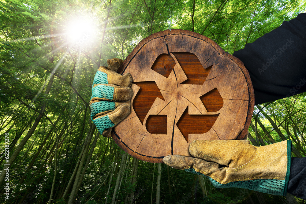 Poster sustainable resources and zero waste concept. gloved hands holding a cross section of a tree trunk w