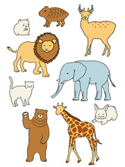 動物園の人気者