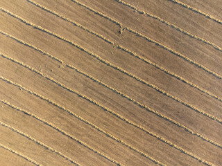 Aerial view of a fresh harvest crop field