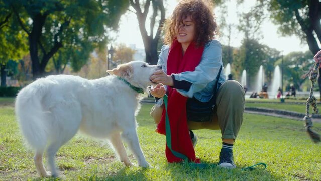 Two female friends playing with their dogs on a green lawn in the park. One woman pulling out toy ball from dogs mouth, another girl tug playing with pet