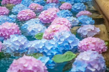 Pink and blue hydrangeas blooming on the surface of the water, Generative AI