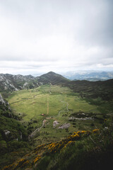 landscape views of the green valley of Vega de Comeya from the Principie de Asturias viewpoint at the Lakes of Covadonga in Picos de Europa, Asturias.